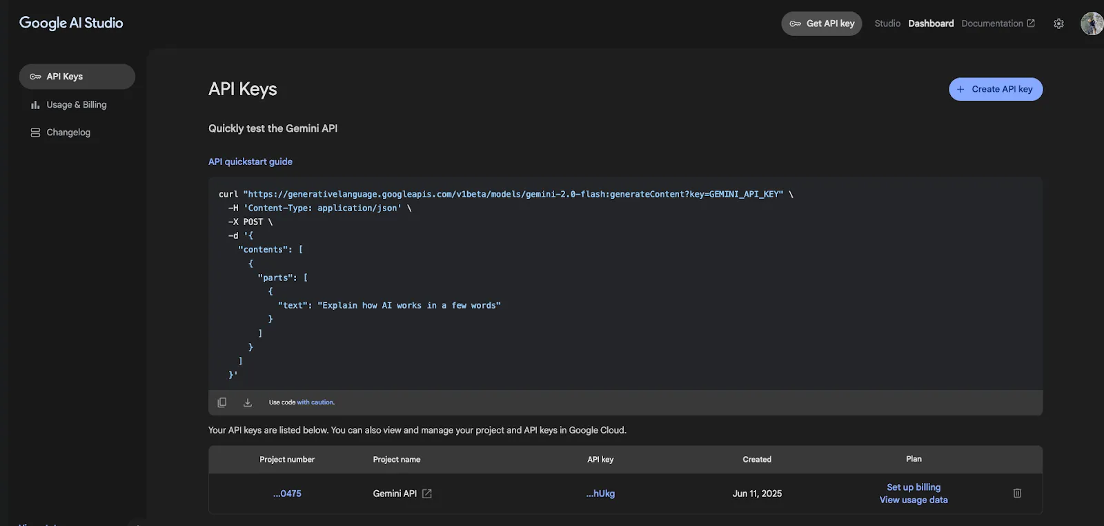 google-ai-studio-api-page