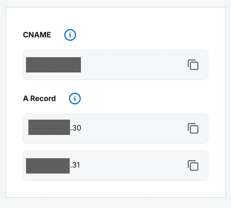 Panel that contains the custom DNS records for your app