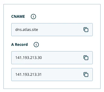 Panel that contains the custom DNS records for your app