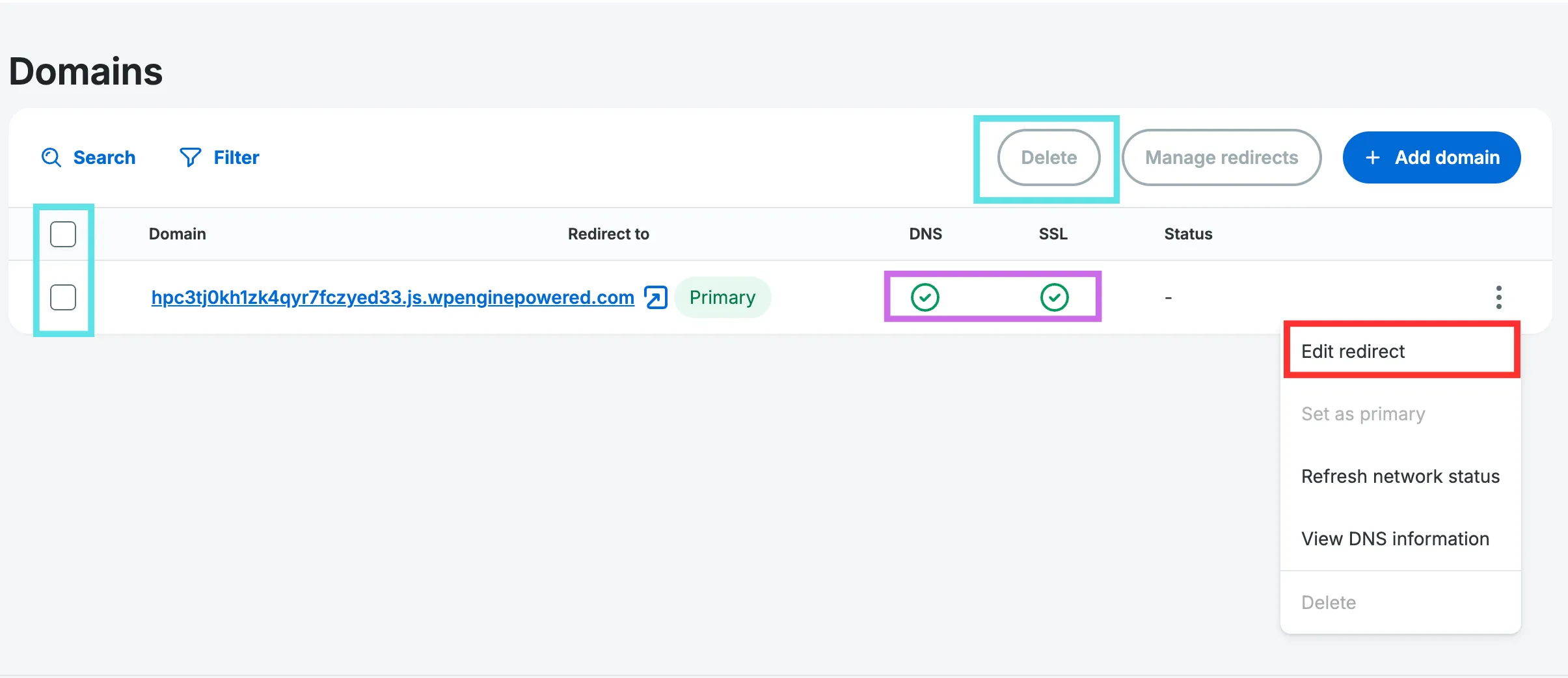 Screenshot of the redirect domain button options