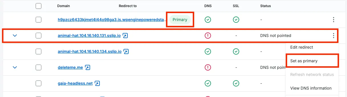 Screenshot of the set primary domain menu item
